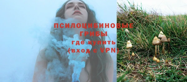 шишки Алексеевка