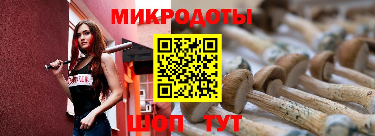 Геленджик  Псилоцибиновые грибы MAGIC MUSHROOMS  Вход с VPN 
